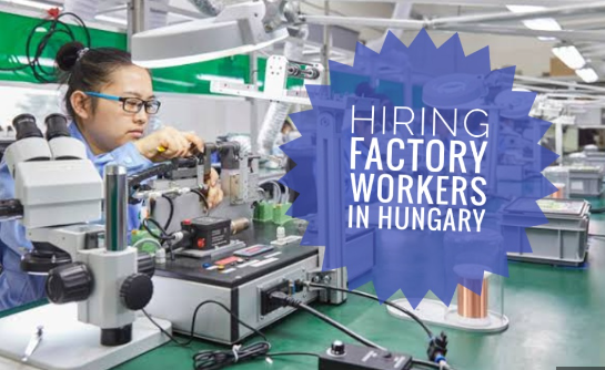 Factory Worker Jobs In Hungary